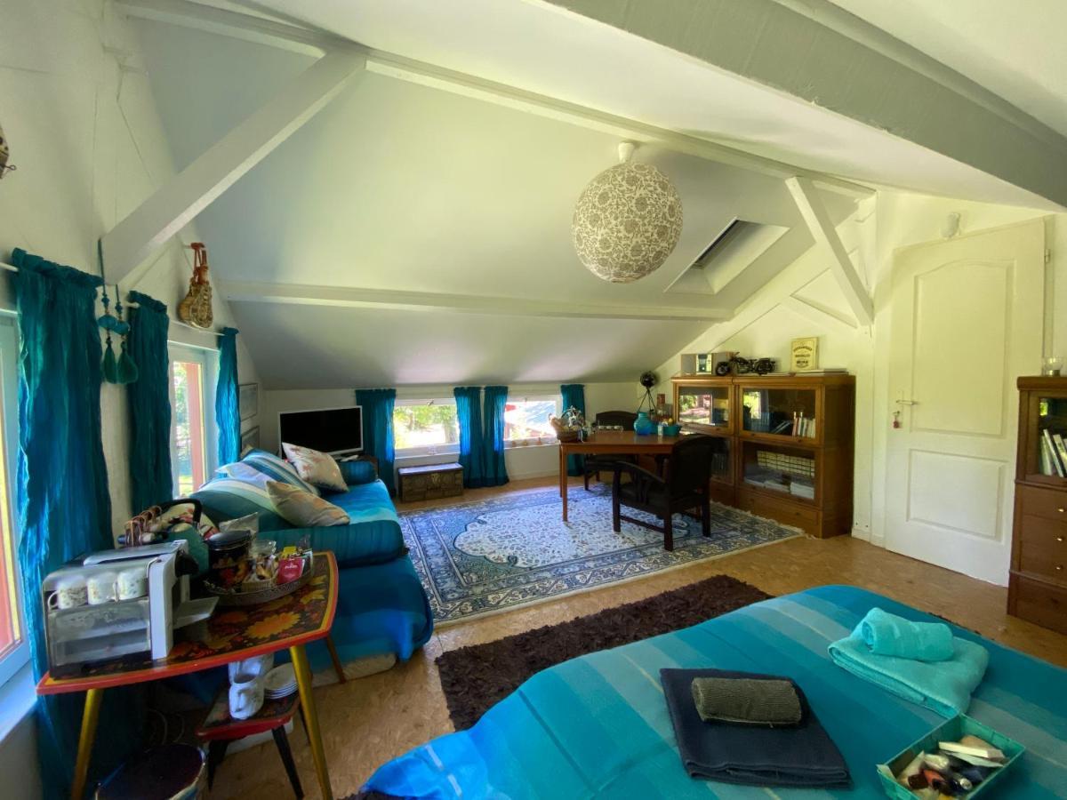 Le Loft Au-Dessus Des Pins Apartment ลากาโน ภายนอก รูปภาพ