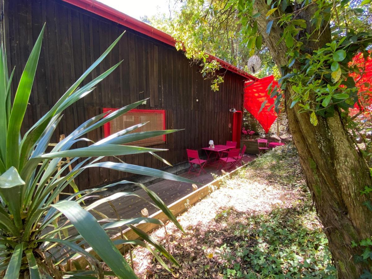 Le Loft Au-Dessus Des Pins Apartment ลากาโน ภายนอก รูปภาพ
