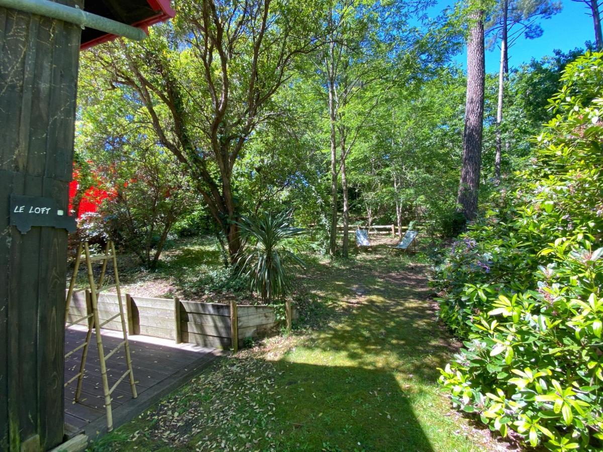 Le Loft Au-Dessus Des Pins Apartment ลากาโน ภายนอก รูปภาพ