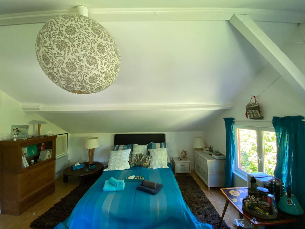 Le Loft Au-Dessus Des Pins Apartment ลากาโน ภายนอก รูปภาพ